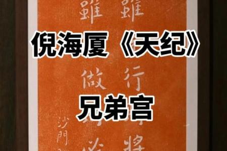 倪师设计紫薇斗数