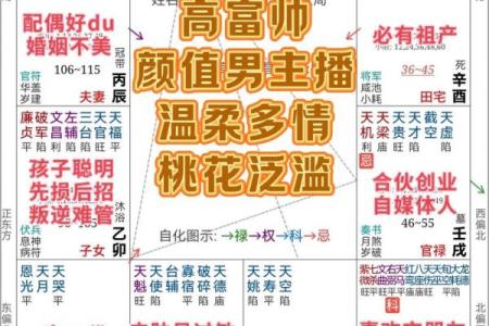 紫薇斗数看人生txt的简单介绍