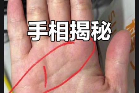 手型算命：木型人的性格与命运