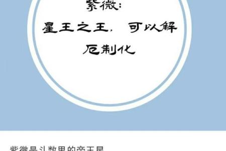 紫薇斗数能测什么
