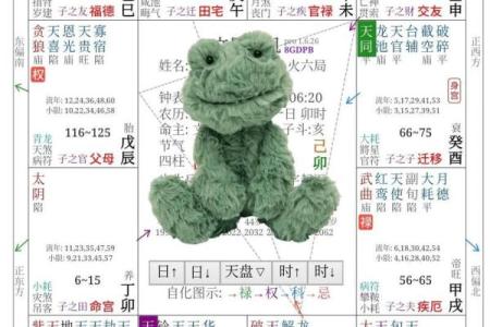 学习紫薇斗数入门推荐