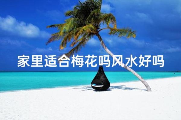 风水上家里可不可以养梅花