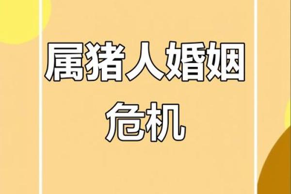 合八字算婚姻 属猪男和兔女适合做夫妻吗