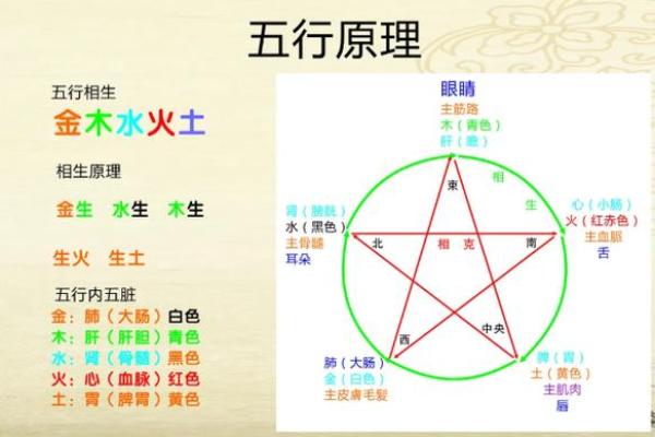 八字命理入门基础知识「方便初学」