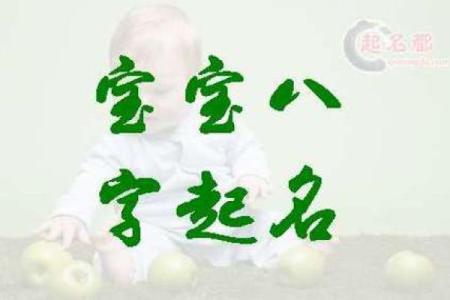 八字起名网官网,免费取名网生辰八字起名大全
