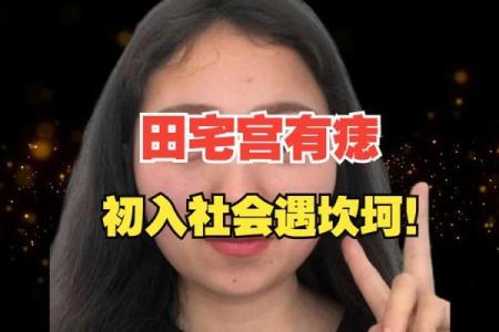 田宅宫有紫薇星七杀星