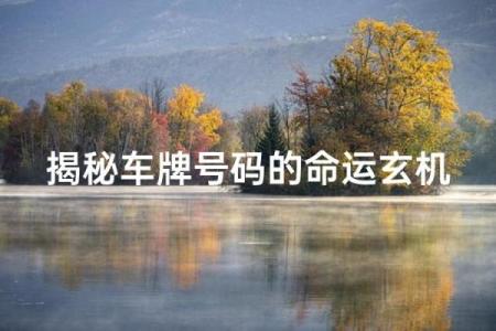 车号吉凶测试查询 车号吉凶如何测试查询