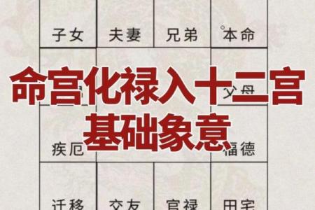 紫薇斗数化禄流通