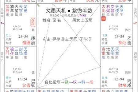 紫薇斗数几号盘