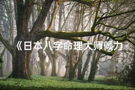 日本对八字
