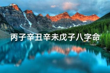 辛未八字