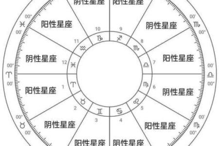 星盘查询免费 免费个人星盘查询