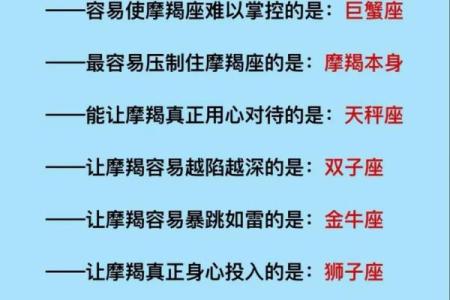 哪个星座能进入摩羯座内心的感觉