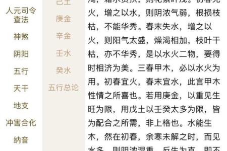 八字天元坐录详解：命盘分析、五行缺失、流年吉凶通解