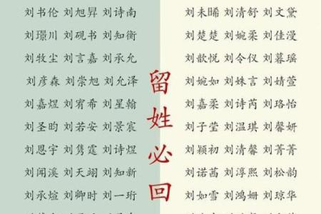 姓名与人生免费测试名典网