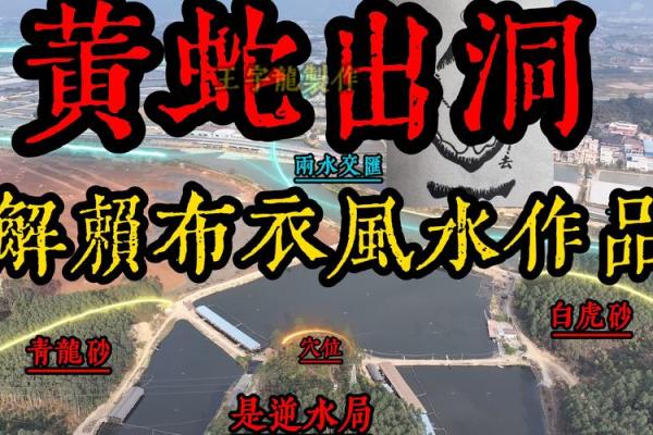 怎样看阴宅风水宝地好不好