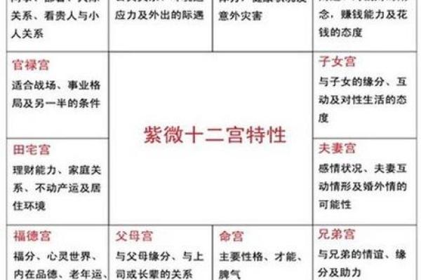 紫薇斗数什么宫最重要