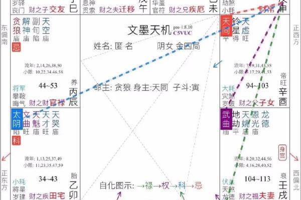 紫薇斗数主要看哪里