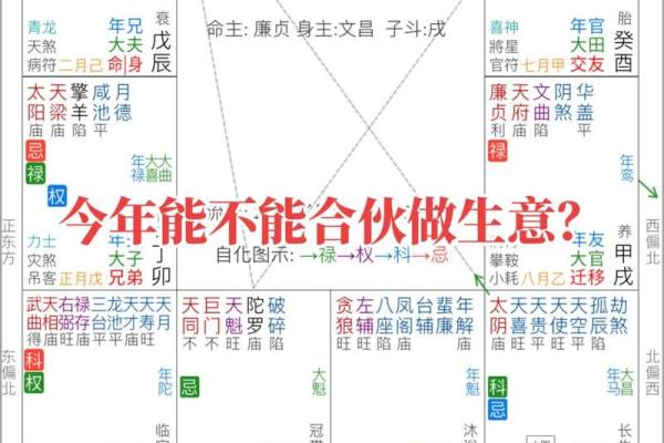 紫薇斗数算命软件