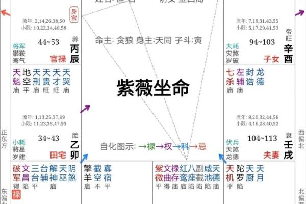 紫薇斗数算命软件