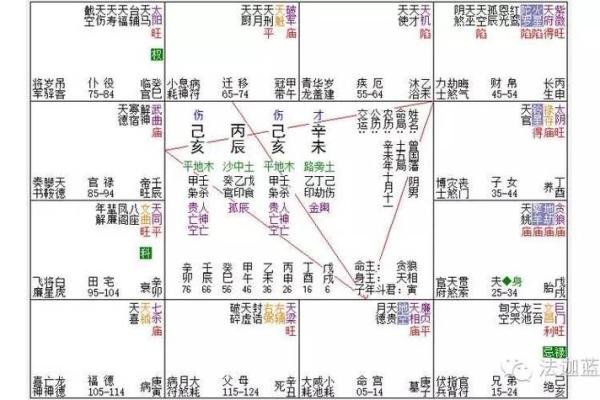 历史人物紫薇斗数