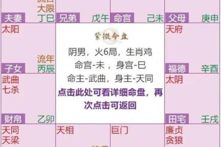 紫薇命盘详解免费版
