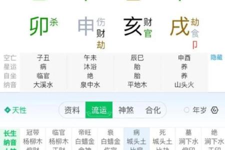 八字中无官