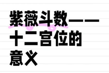 紫薇斗数命宫主星太阳