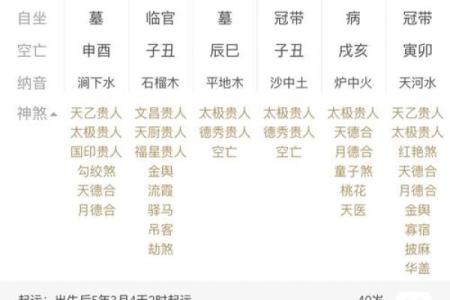 己亥生辰八字详解大全女命