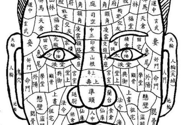 从腿部看相算命