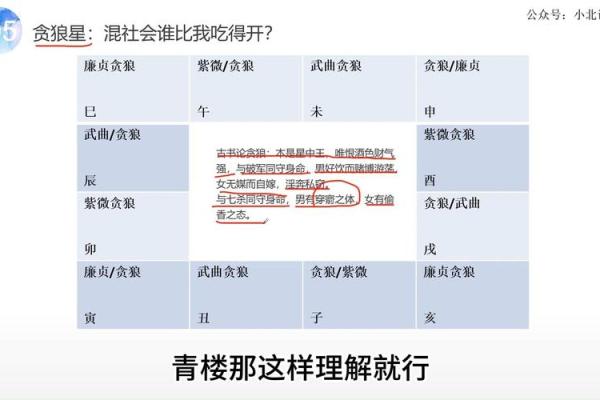 紫薇斗数贪狼化解