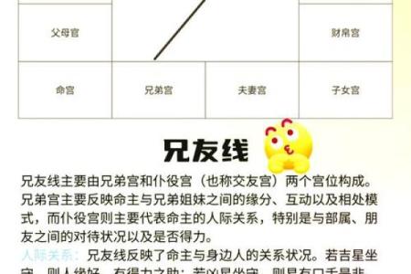 紫薇斗数看有没有孩子