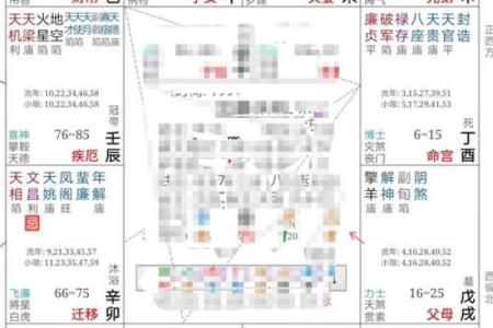 紫薇斗数看出国运