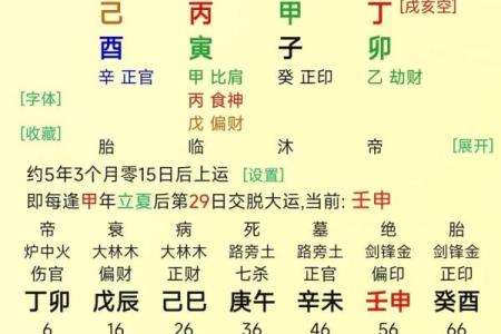 甲木八字