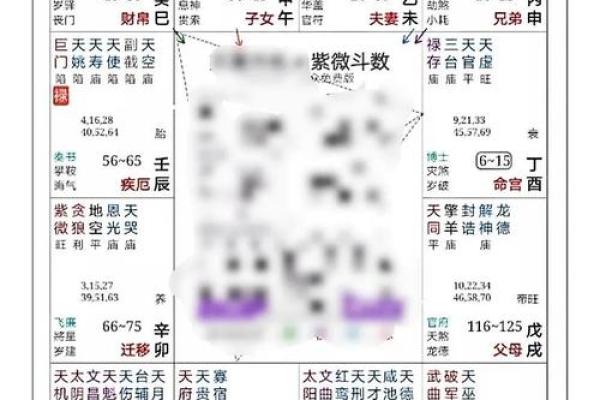 紫薇斗数事业成就