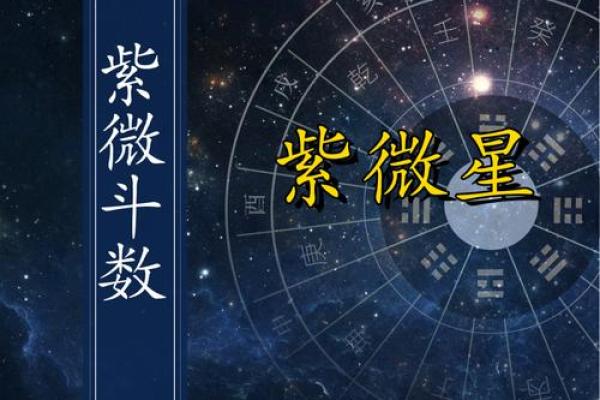 紫薇斗数星辰排序