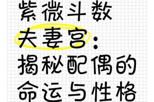 紫薇斗数夫妻宫代表