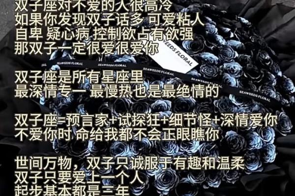 双子座和什么星座当好朋友最合适