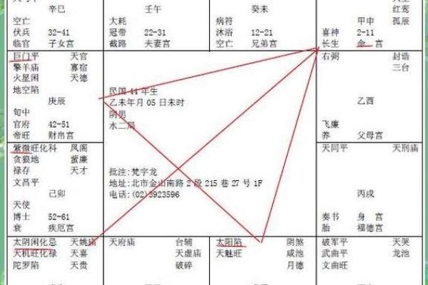 【紫微斗数】排盘技巧037：紫微斗数的国际交流