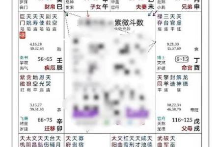 紫薇斗数事业成就