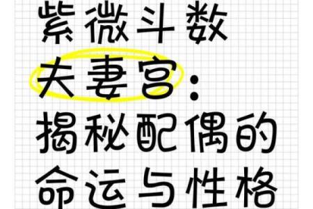 紫薇斗数夫妻宫代表