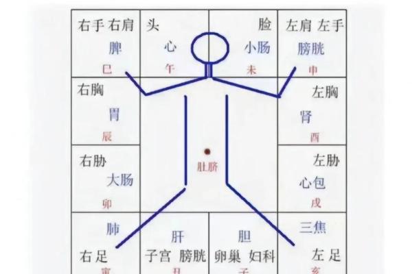紫薇斗数shenpa