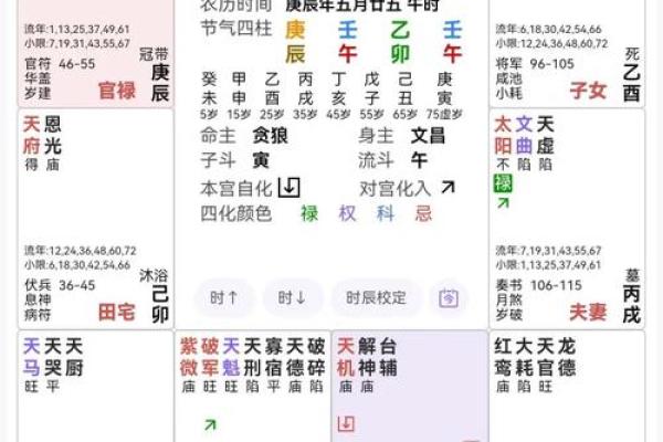 紫薇斗数shenpa