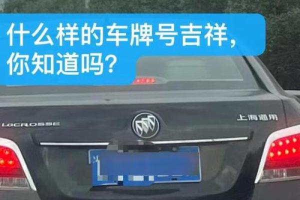 车牌吉凶测试,12生肖怎么选车牌