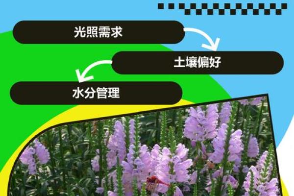 解答关于假花对风水有什么影响