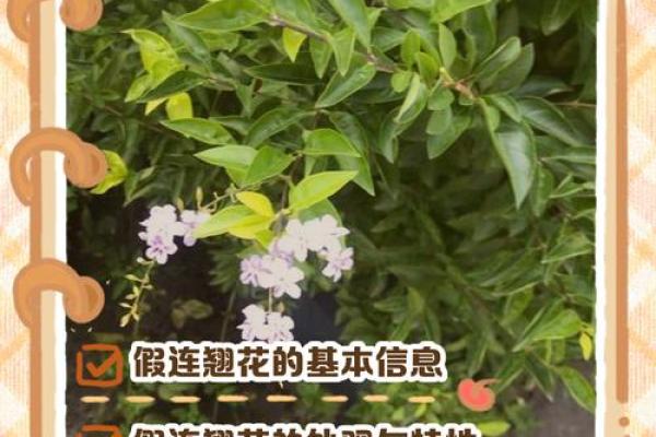 解答关于假花对风水有什么影响
