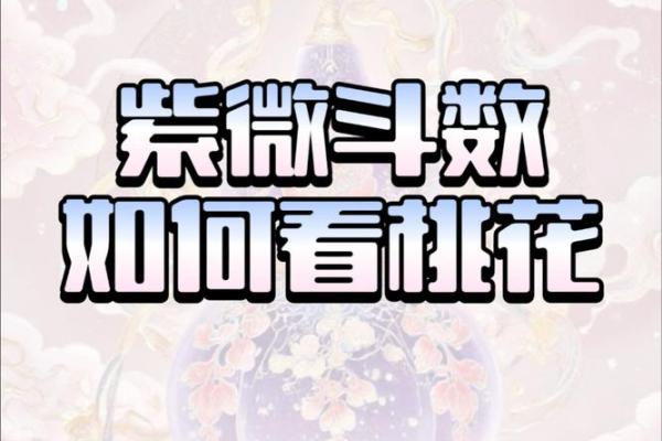 紫薇斗数测桃花