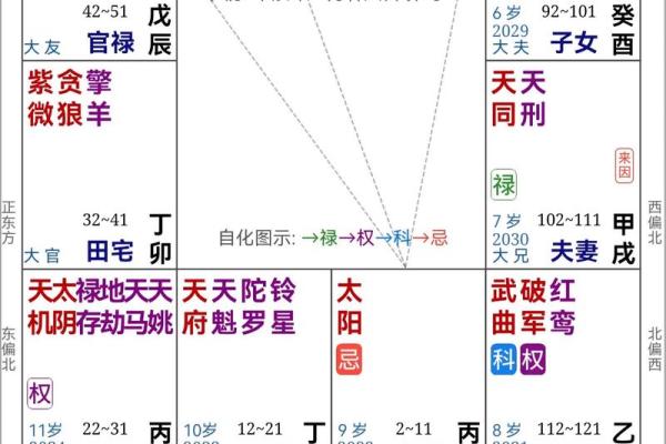 紫薇斗数全书简体