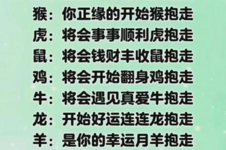 生肖姻缘算命