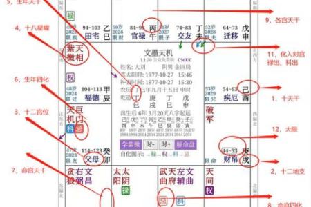 紫薇斗数大限工作